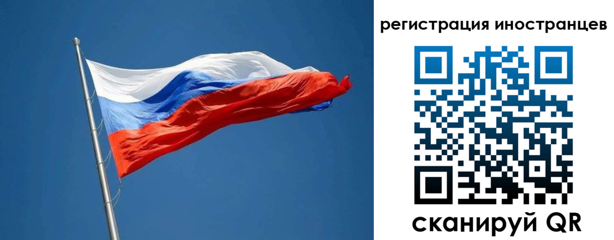 прописка в Елизово